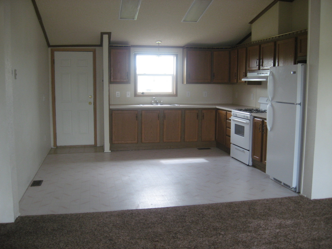 Elmwood Village kitchen